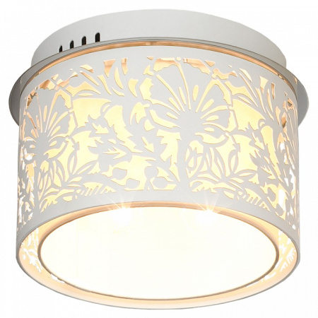 Фото Накладной светильник Lussole Vetere GRLSF-2307-04