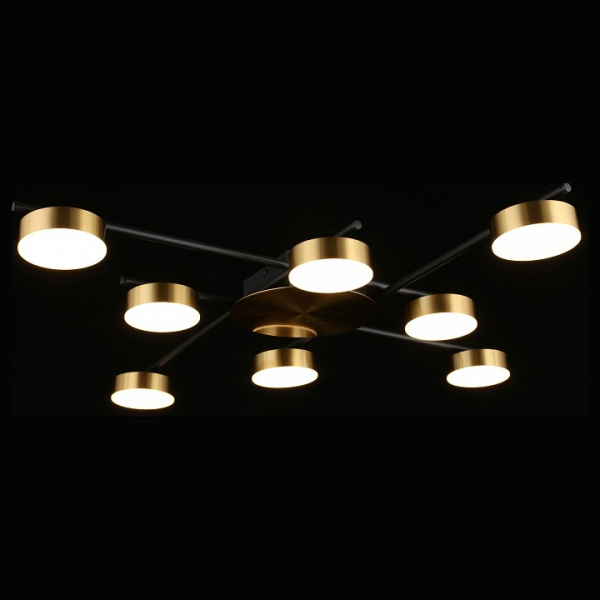 Фото Потолочная люстра Aployt Delayn APL.042.07.56