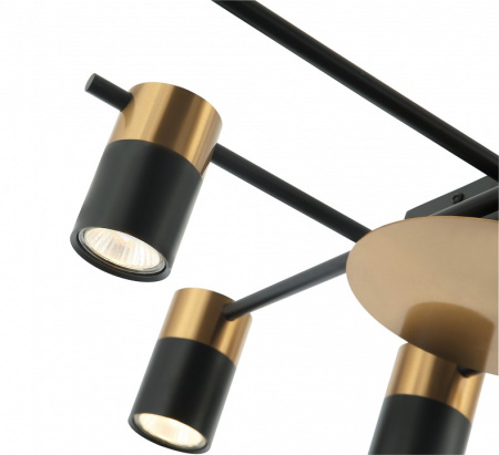 Фото Потолочная люстра Favourite Topper 2825-8P