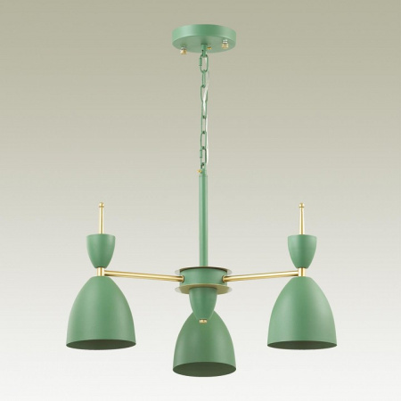Фото Подвесная люстра Lumion Gemma 3785/3