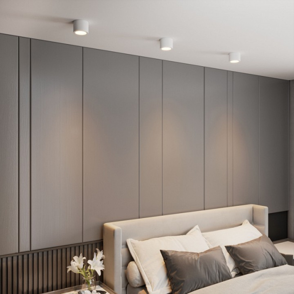 Фото Накладной светильник Elektrostandard DLR026 a063935