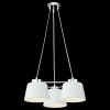 Фото Подвесная люстра Freya Barbara FR5004PL-03CH