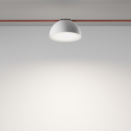 Фото Накладной светильник Maytoni Bowl TR126B-20W4K-W