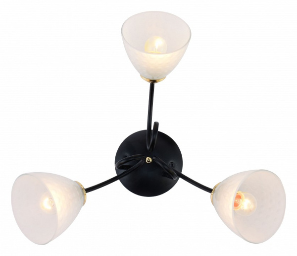 Фото Потолочная люстра Rivoli Luiza Б0054903