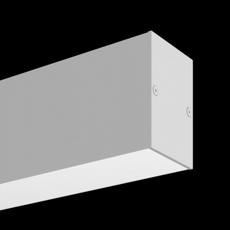 Фото Накладной светильник Maytoni BASIS TR012-2-20W3K-W