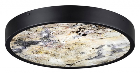 Фото Накладной светильник Odeon Light Bergi 5064/24L