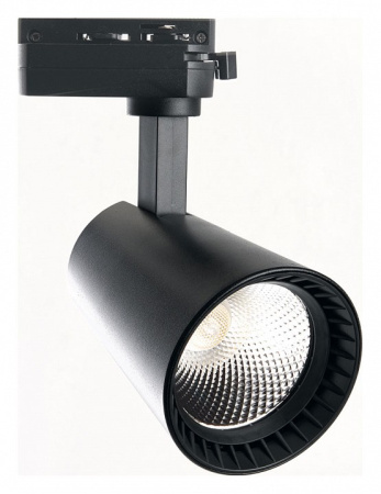 Фото Светильник на штанге Feron AL100 41606