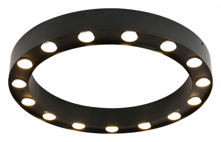 Фото Накладной светильник Favourite Attica 3007-15U