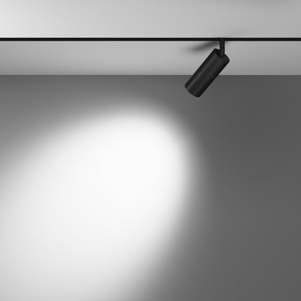 Фото Светильник на штанге Maytoni Focus LED TR032-2-12W4K-M-B