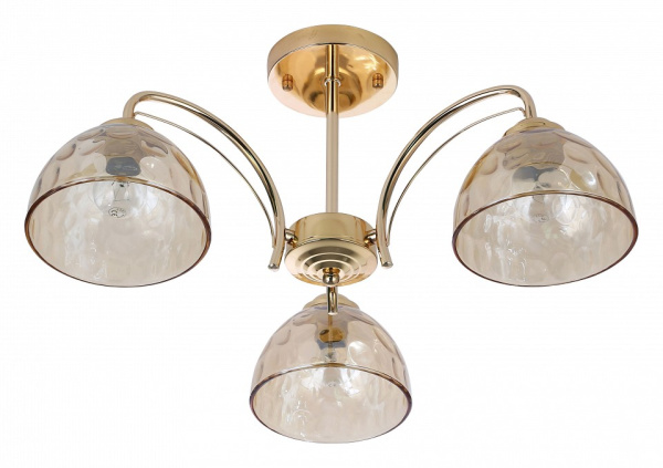 Фото Люстра на штанге Rivoli Terri Б0060988