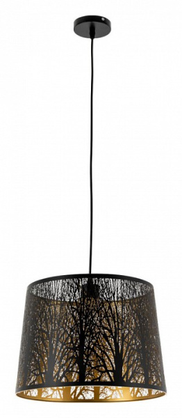 Открыть Подвесной светильник Arte Lamp Celesta A2769SP-1BK Фото Подвесной светильник Arte Lamp Celesta A2769SP-1BK