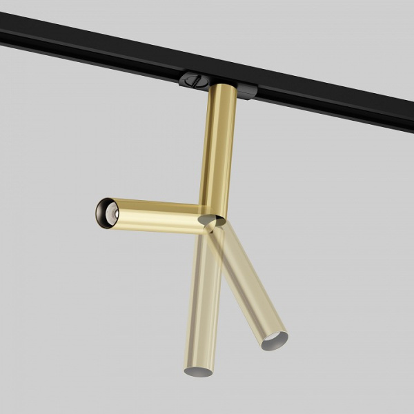 Фото Светильник на штанге Maytoni Focus T TR142-1-6W4K-BS