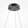 Фото Подвесной светильник Maytoni Curve MOD241PL-L60BK
