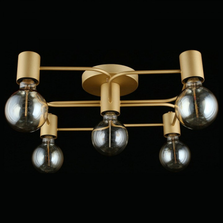 Фото Потолочная люстра Aployt Elison APL.911.07.05