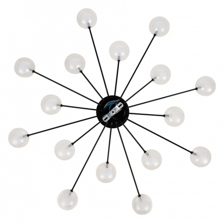 Фото Потолочная люстра Freya Celebrity FR5242CL-16B1