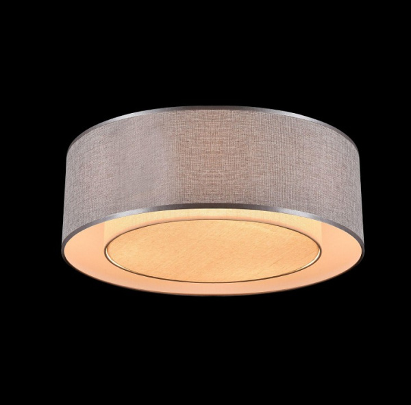 Фото Накладной светильник Maytoni Bergamo MOD613CL-04GR