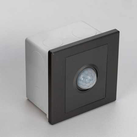 Фото Датчик движения и освещенности Citilux Skally CLR005KS1