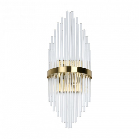 Фото Накладной светильник Freya Agora FR5216WL-02BS