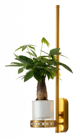 Фото Бра Favourite Greenery 4050-1W