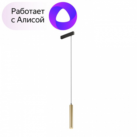 Открыть Подвесной светильник Denkirs Smart DK8008-BG Фото Подвесной светильник Denkirs Smart DK8008-BG