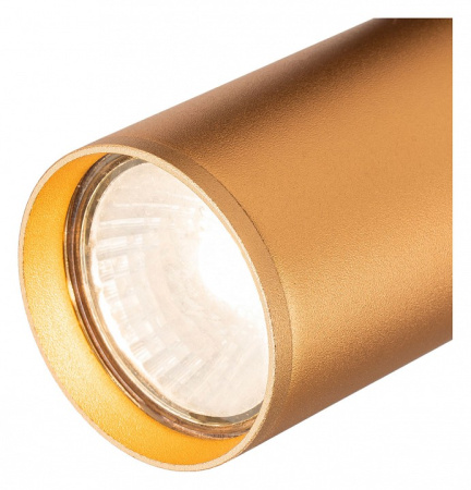 Фото Светильник на штанге Escada 20001 20001TRA/01 BR