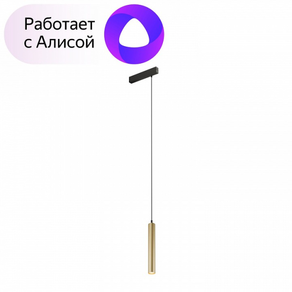 Фото Подвесной светильник Denkirs Smart DK8008-BG