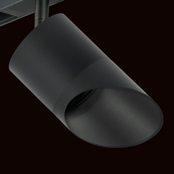 Фото Светильник на штанге Lightstar Rullo PRO348787