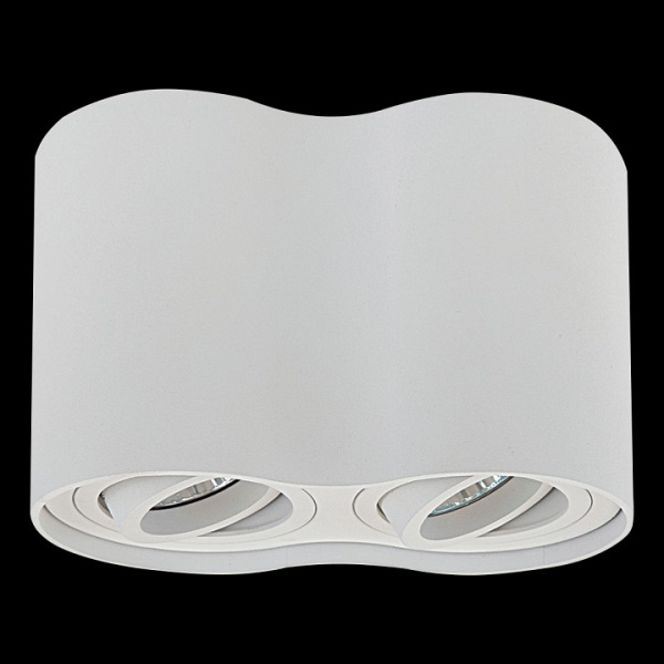 Фото Накладной светильник Lightstar Binoco Duo 052026