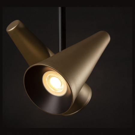 Фото Светильник на штанге Maytoni Giro MOD095PL-02BS