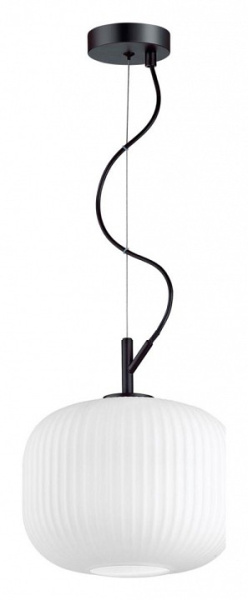 Фото Подвесной светильник Odeon Light Roofi 4753/1