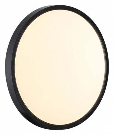 Открыть Накладной светильник Sonex Alfa Black 7660/24L Фото Накладной светильник Sonex Alfa Black 7660/24L