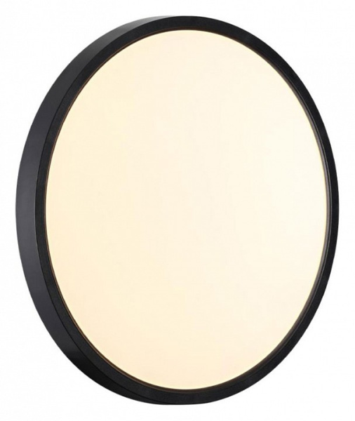 Фото Накладной светильник Sonex Alfa Black 7660/24L