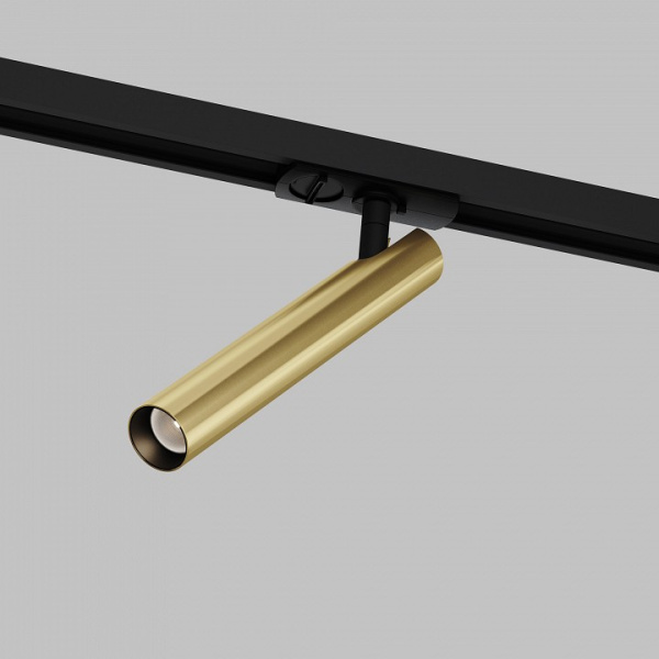 Фото Светильник на штанге Maytoni Focus T TR141-1-6W3K-M-BS