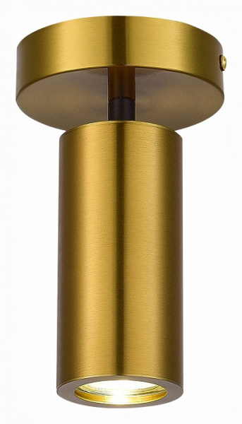 Фото Светильник на штанге ST-Luce Talia SL1215.402.01