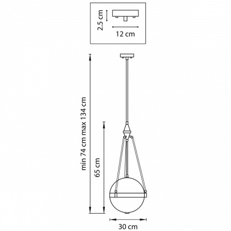 Фото Светильник на штанге Lightstar Modena 816037