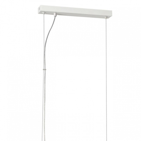 Фото Подвесной светильник Lumion Dana 8006/5A