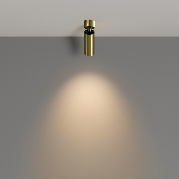 Фото Спот Maytoni FOCUS LED C055CL-L12W3K-W-BS