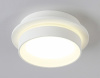 Открыть Накладной светильник Ambrella Light TN TN5383 Фото Накладной светильник Ambrella Light TN TN5383