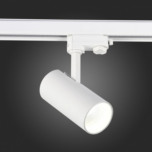 Фото Светильник на штанге ST-Luce ST661 ST661.536.20