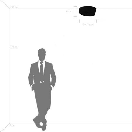 Фото Накладной светильник Lightstar Celesta 809356