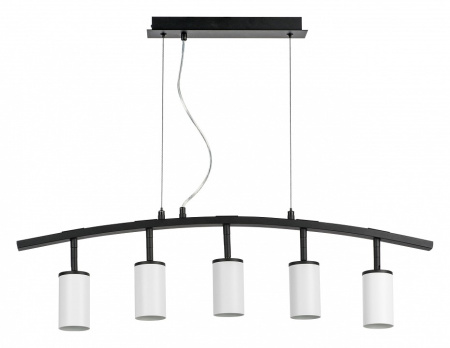 Фото Подвесной светильник Lightstar Rullo LR735365