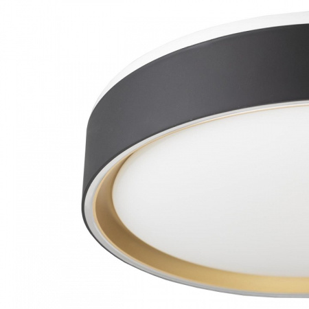 Фото Накладной светильник Citilux BOSS CL751251G