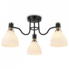 Потолочная люстра Ambrella Light TR TR303303 Потолочная люстра Ambrella Light TR TR303303