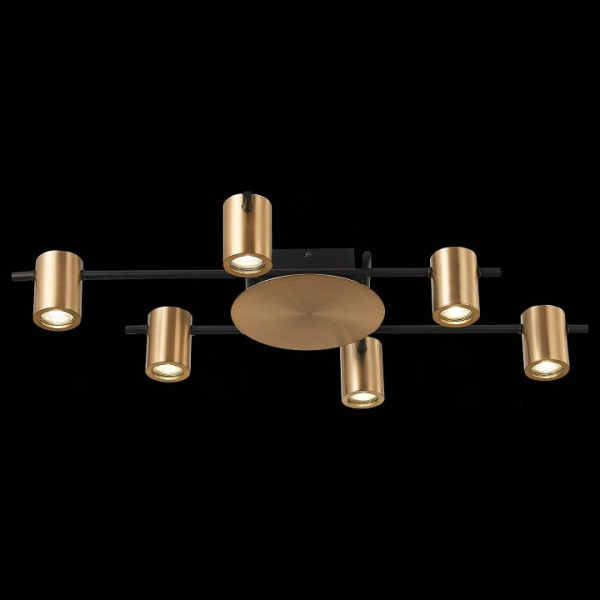 Фото Потолочная люстра ST-Luce Veroli SL1207.402.06