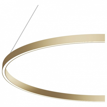 Фото Подвесной светильник Maytoni Rim MOD058PL-L54BS4K