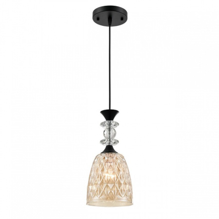 Фото Подвесной светильник Lumion Elenika 8056/1А