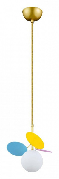 Фото Подвесной светильник Loft it Matisse 10008/1P mult