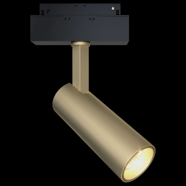 Фото Светильник на штанге Maytoni Focus LED TR019-2-10W4K-MG