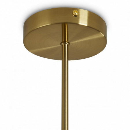 Фото Люстра на штанге Freya Clip FR5426PL-08BS