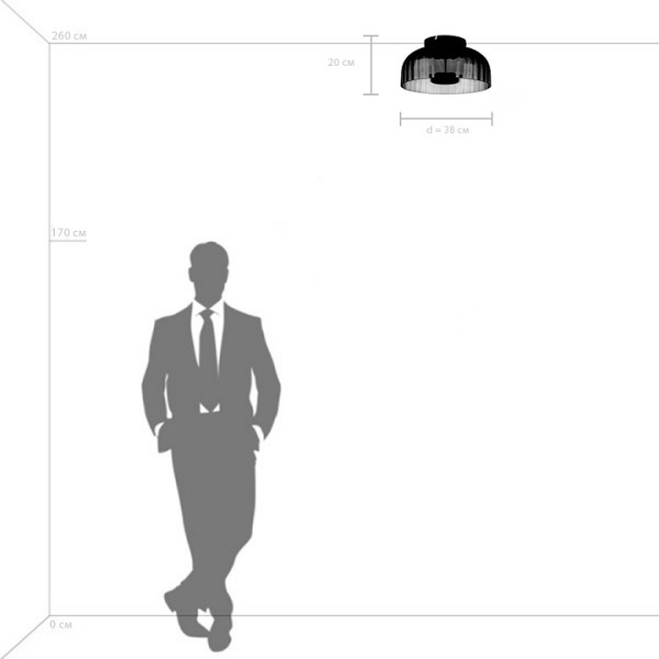 Фото Накладной светильник Lightstar Celesta 809061